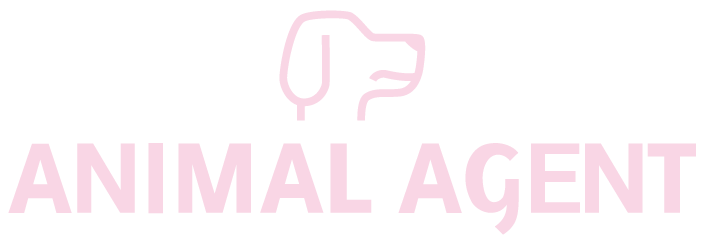 動物病院で働く動物看護師、トリマーの求人を名古屋市中村区周辺で探すなら「ANIMAL AGENT」へ